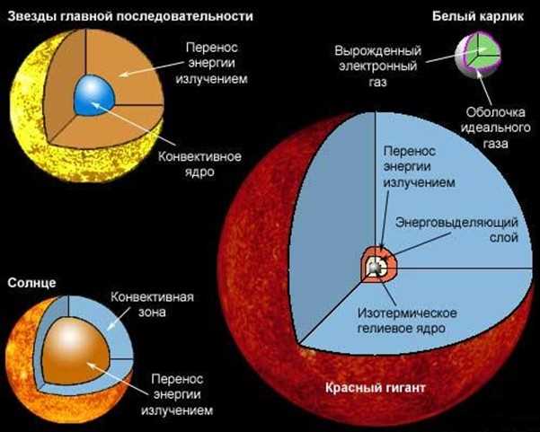 Сравнение светимости и температуры белых и красных карликов