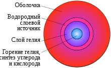 Орбитальная последовательность красных гигантов: уникальные черты звезд