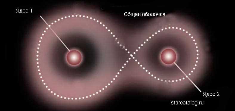 Экзопланеты вокруг двойных звезд: особенности и исследование