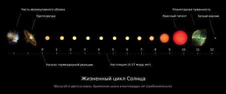 Будущее звездной системы: разнообразие и эволюция